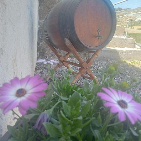Casita Rural Y Casa Cueva El Perucho Villa Güimar Екстериор снимка